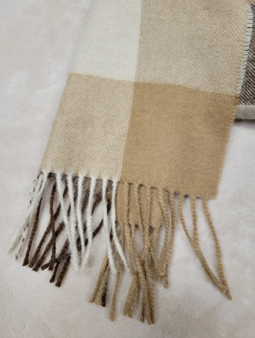 alpaca indulge incredible